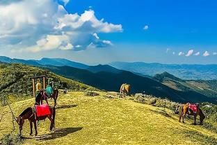 Cùng một ngày sinh nhật! Chúc mừng sinh nhật đội trưởng Nạp Kiều và anh Đường của tôi?